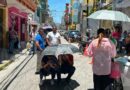 Protestan agremiados del SUSPEG para respaldar impugnación contra Velázquez Pat