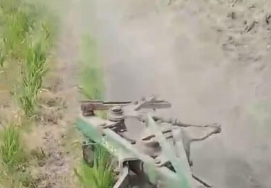 Estiman productores más de 100 mil hectáreas afectadas en Guerrero por sequía