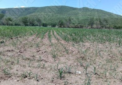 Exhorta Congreso al gobierno estatal implementar políticas emergentes y preventivas contra la sequía