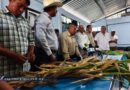 Exigen a la federación declarar emergencia por sequía en Guerrero y destinar recursos al campo