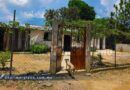 Abandonan habitantes de la Sierra de Chilpancingo sus comunidades por asedio de crimen organizado