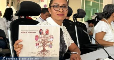Piden crear comité de expertos independientes para auditar recursos de Morena y sus aliados