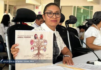 Piden crear comité de expertos independientes para auditar recursos de Morena y sus aliados