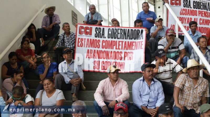 Exigen agricultores declaratoria de emergencia por sequía; amagan con protestas si Evelyn no los atiende