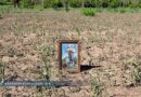Reporta Sagadegro entre 180 y 200 mil hectáreas de maíz afectadas; descarta declaratoria de emergencia