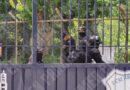 Acusados de extorsión los mandos policiacos y de tránsito detenidos en Tlapa y Chilapa