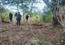 Continúa hallazgo de restos humanos en El Arenal; suman más de 300 fragmentos localizados