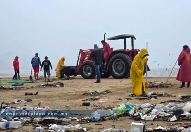 Recolectan más de 60 toneladas de basura en la bahía de Acapulco tras paso de “Simón”