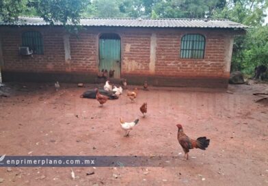 Desplaza crimen organizado a 50 familias de cinco comunidades en Zihuatanejo