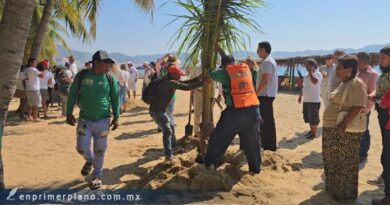 Reforestan Playa Suave con 123 palmeras; piden alumbrado, baños y drenaje