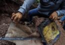 Halla colectivo Luciérnaga 10 restos óseos durante jornada de búsqueda entre Tlapa y Marquelia