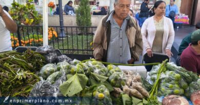 Sequía devasta cultivos en zona Centro; productores ofrecen en Agrotianguis lo que salvaron