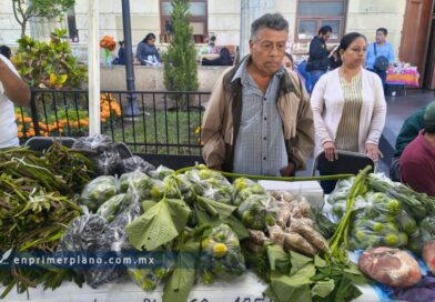 Sequía devasta cultivos en zona Centro; productores ofrecen en Agrotianguis lo que salvaron