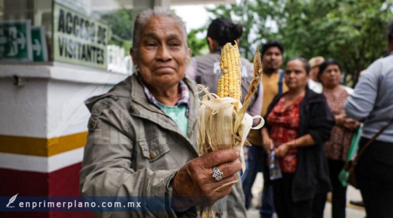 “No tendremos qué comer durante todo el año”, lamentan campesinos de Teloloapan tras perder cultivos por sequía